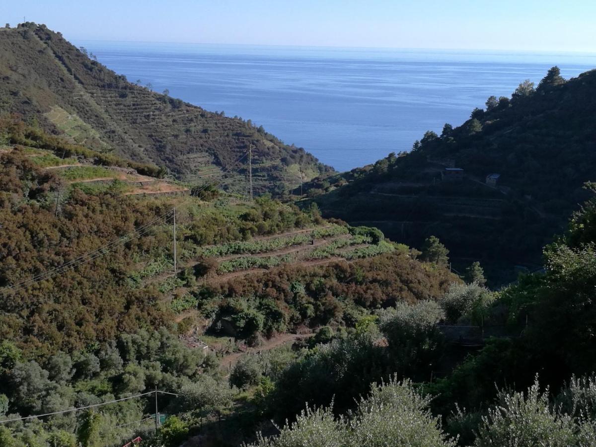 ☆ Terrace & Relax ☆ Casa Franceschin_ Homy 5 Terre Villa Riomaggiore Exteriör bild