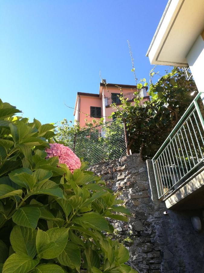 ☆ Terrace & Relax ☆ Casa Franceschin_ Homy 5 Terre Villa Riomaggiore Exteriör bild