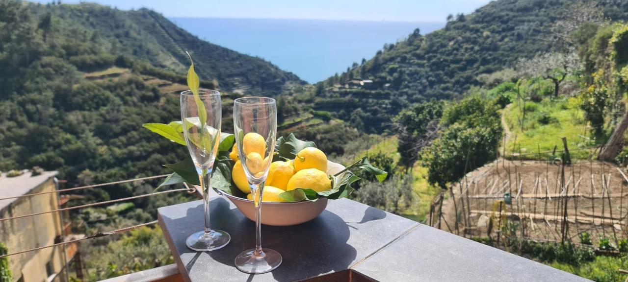 ☆ Terrace & Relax ☆ Casa Franceschin_ Homy 5 Terre Villa Riomaggiore Exteriör bild